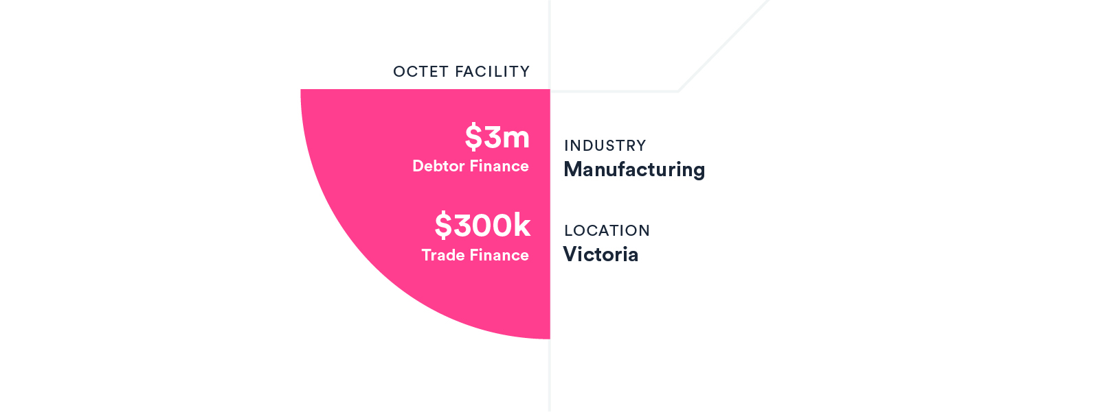 VIC manufacturing company – stacking up the wins