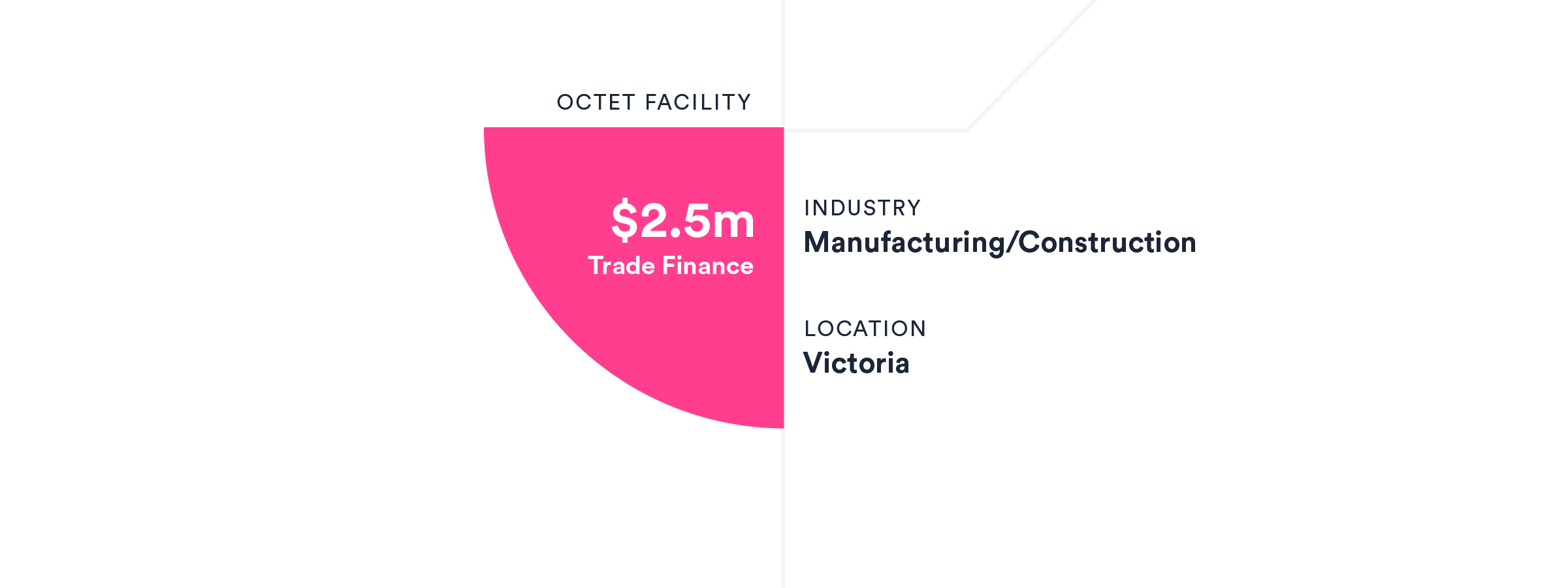 VIC manufacturing/construction company – building a strong future